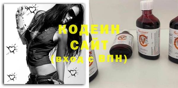шишки Покачи