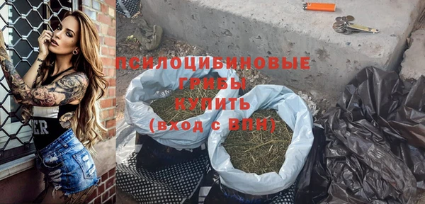 шишки Покачи