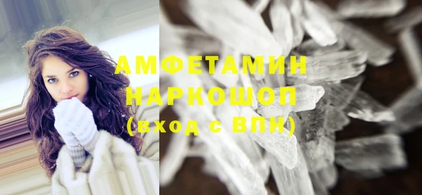 шишки Покачи