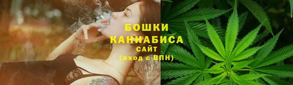 шишки Покачи