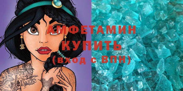 шишки Покачи