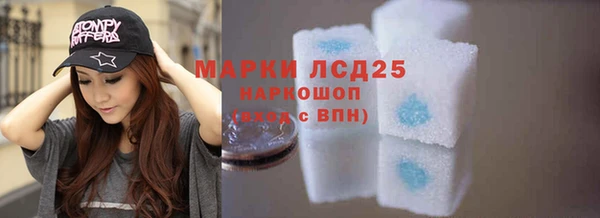шишки Покачи