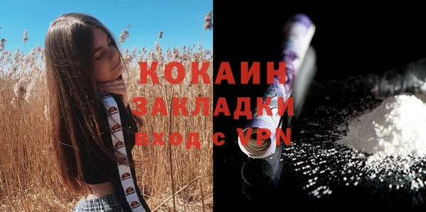 шишки Покачи
