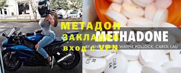 шишки Покачи