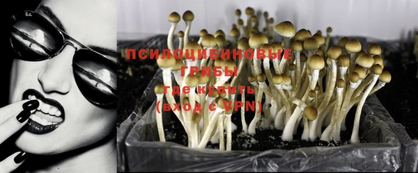 шишки Покачи