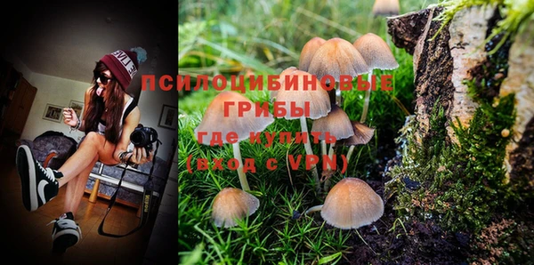шишки Покачи