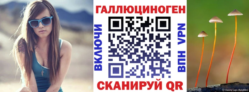 Галлюциногенные грибы Psilocybe  Купить  Кашира 
