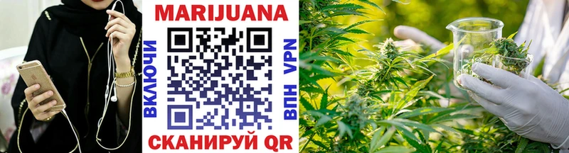 Купить закладки  Кашира  Бошки марихуана SATIVA & INDICA 